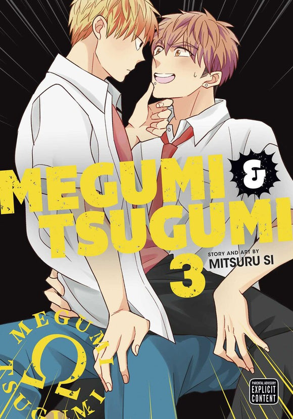 Megumi & Tsugumi vol 3 front cover manga book