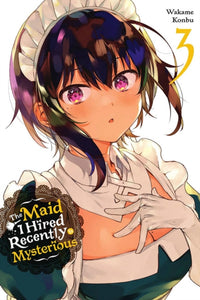 The Maid I Hired Recently Is Mysterious vol 3 front