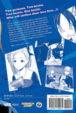 Kaguya-sama: Love Is War vol 20 Manga Book back cover